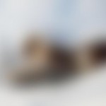 real-estate-13